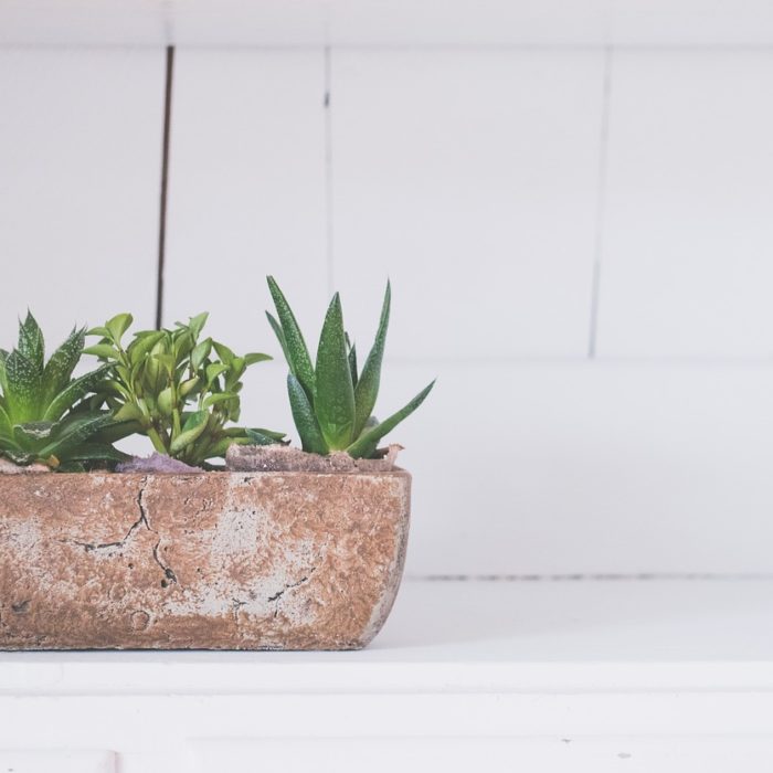 planter