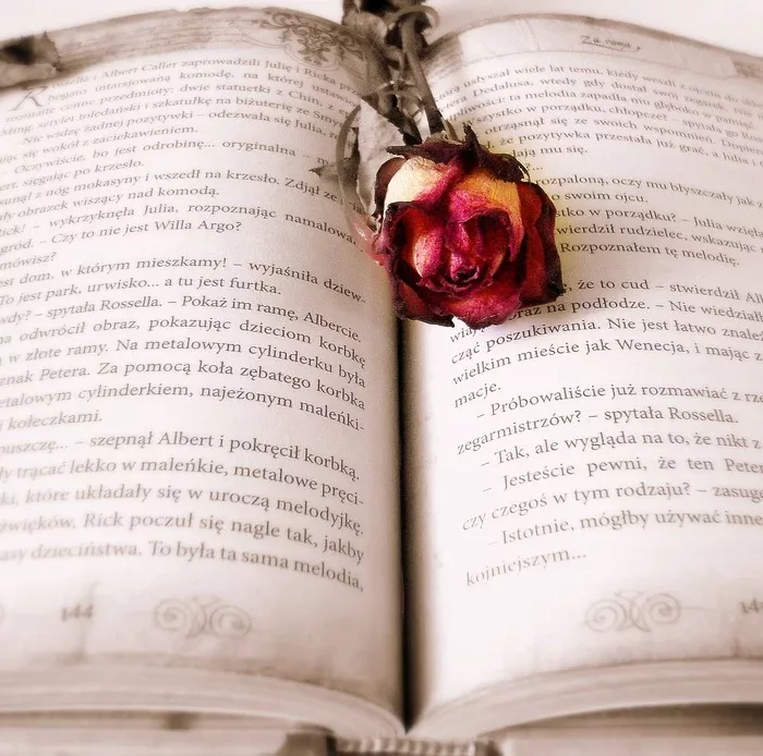 book and rose
