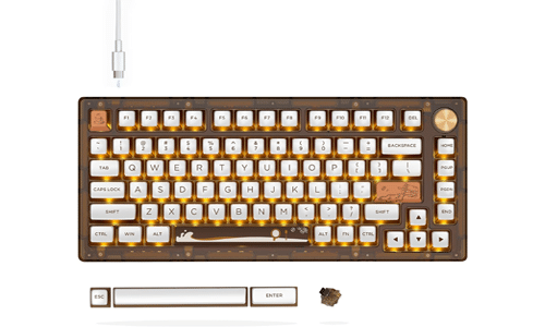 Mechanical Gaming Keyboard